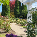 Discovering the Enchanting Gardens of Wilder, Kentucky