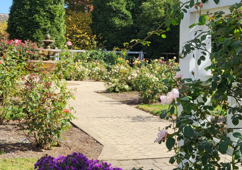 Discovering the Enchanting Gardens of Wilder, Kentucky