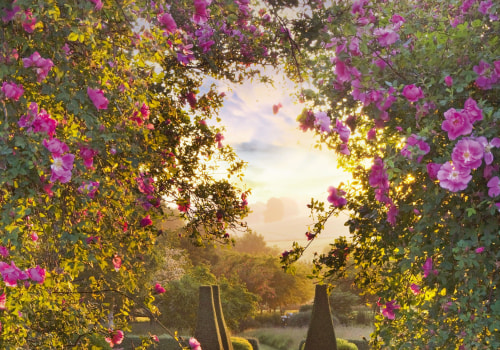 The Evolution of Gardens in Wilder, Kentucky: A Journey Through Time